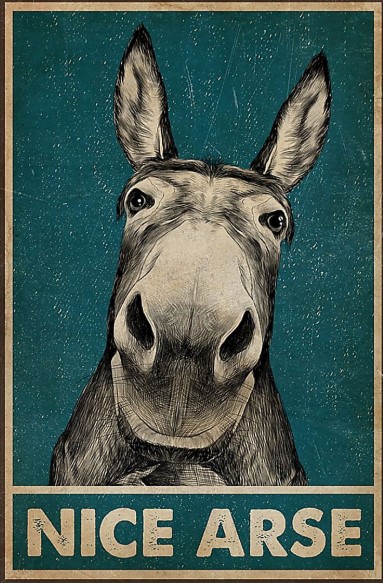 Donkey Nice Arse poster