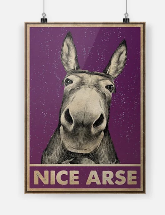A Donkey Nice Arse poster