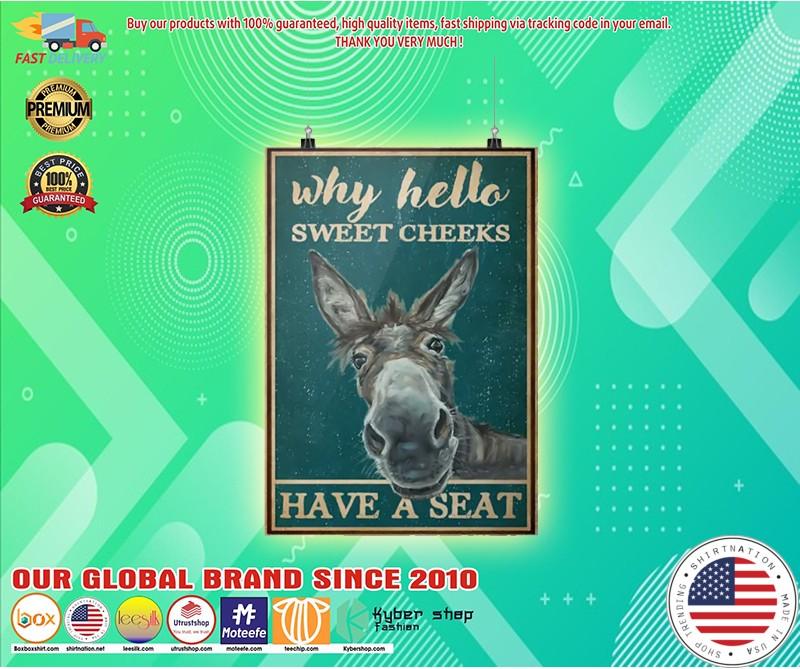 Donkey why hello sweet cheeks have a seat poster