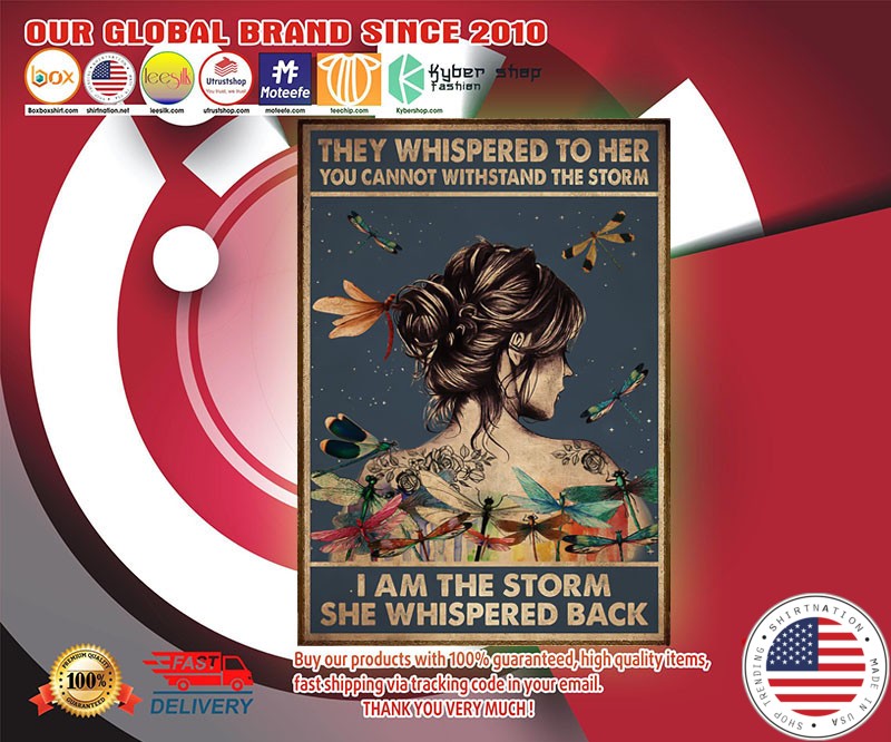 Dragonfly they whisperd to here you cannot with stand the storm poster