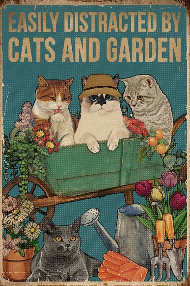 Easily distrascked by cats and garden poster