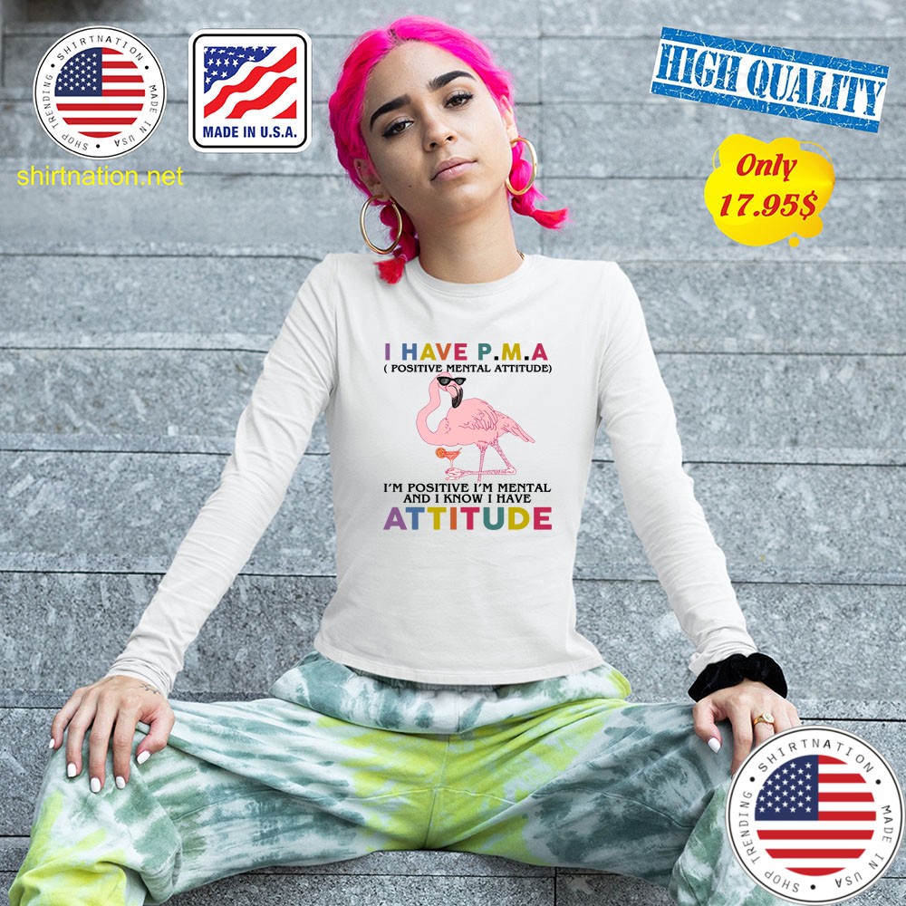 Flamingo I have PMA positive mental attitude Shirt4