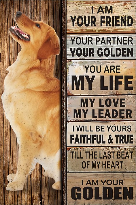 Golden Retriever I am your friend your partner your golden poster