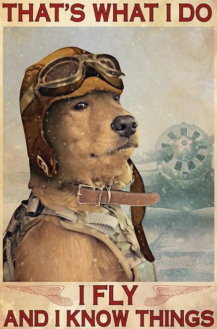 Golden Retriever that's what I do I fly and I know things poster