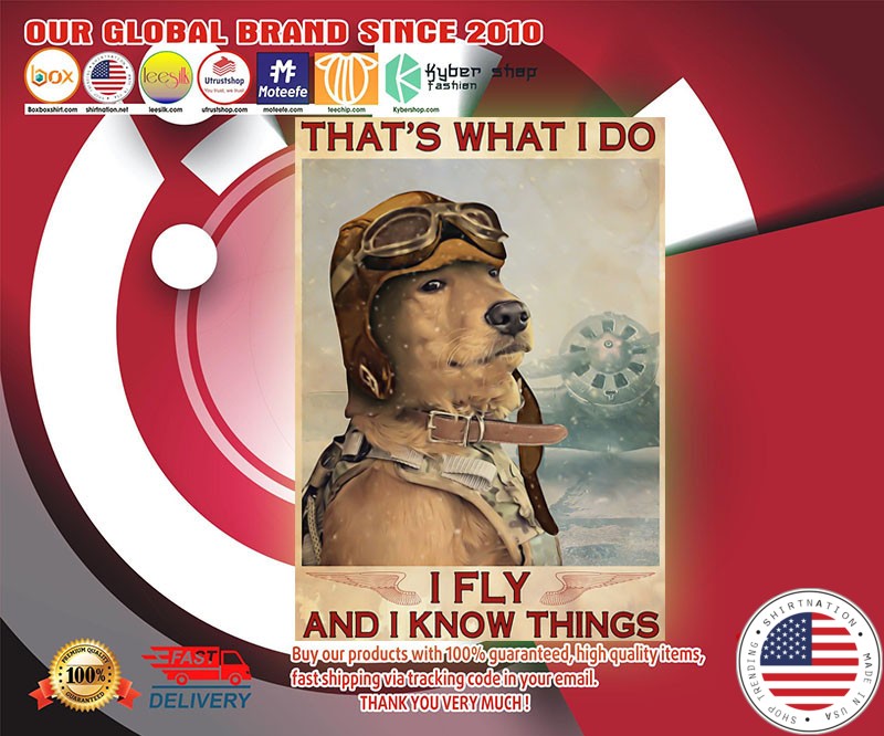 Golden retriever that's what I do I fly and I know things poster