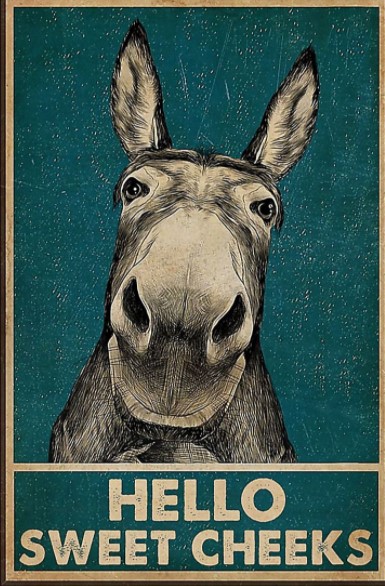 Hello sweet cheeks Donkey poster