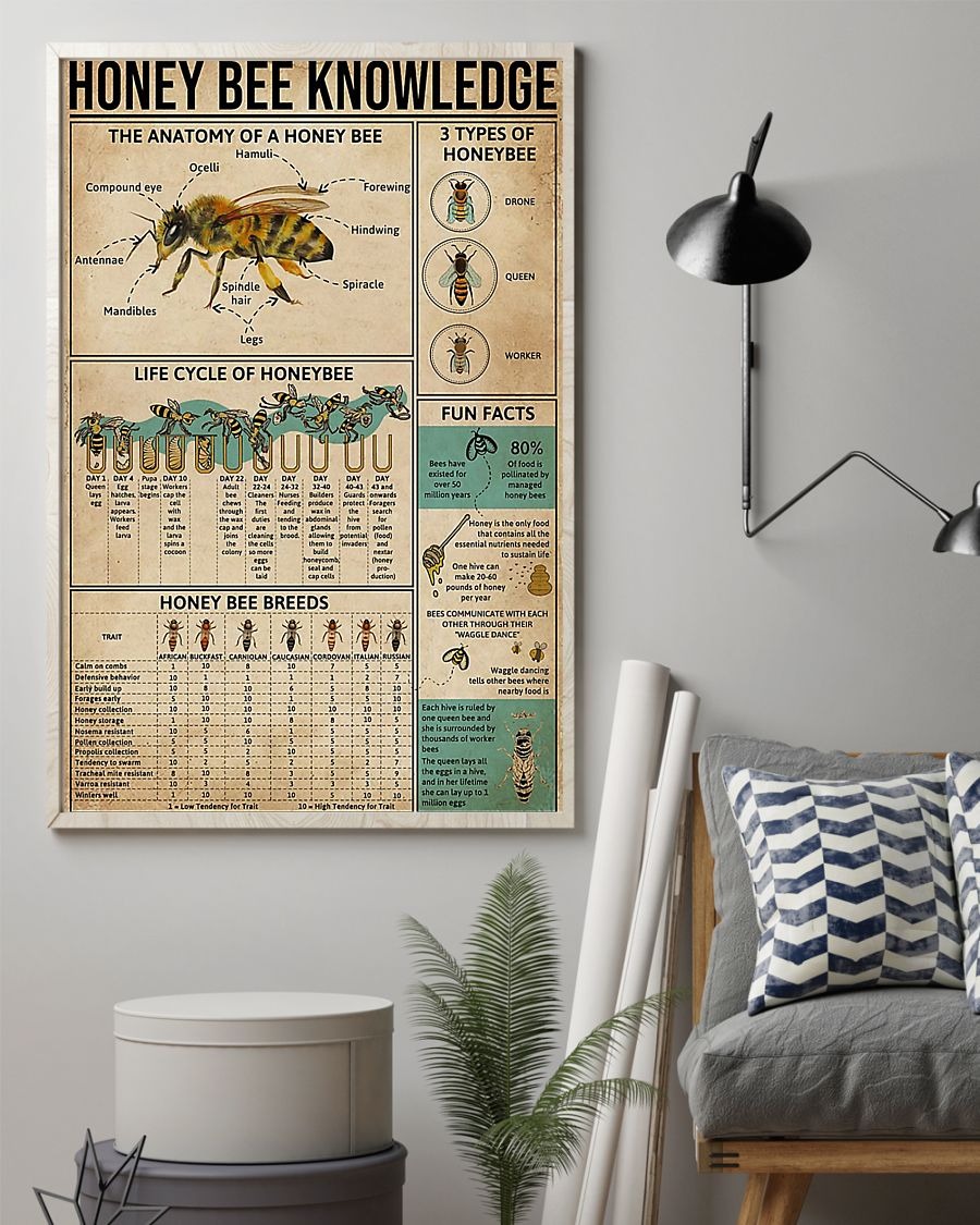 Honey bee knowledge poster