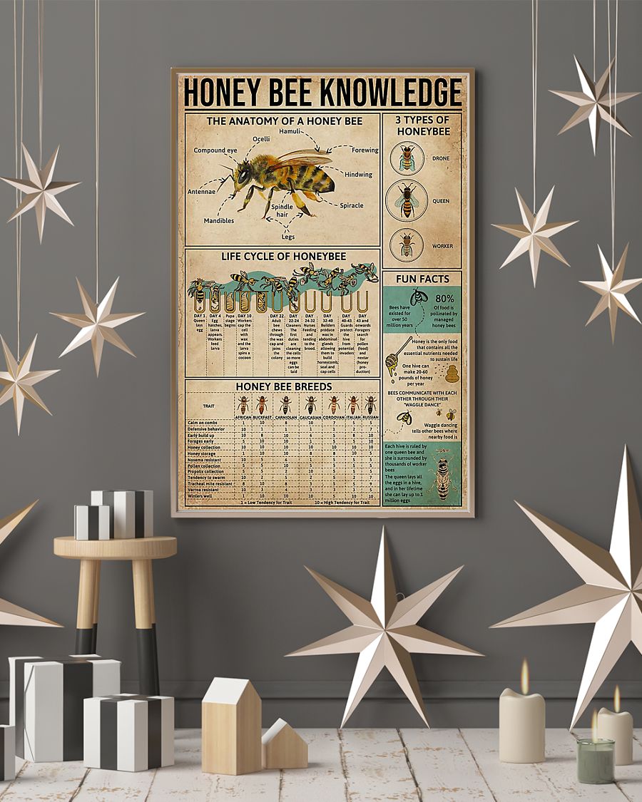 Honey bee knowledge poster