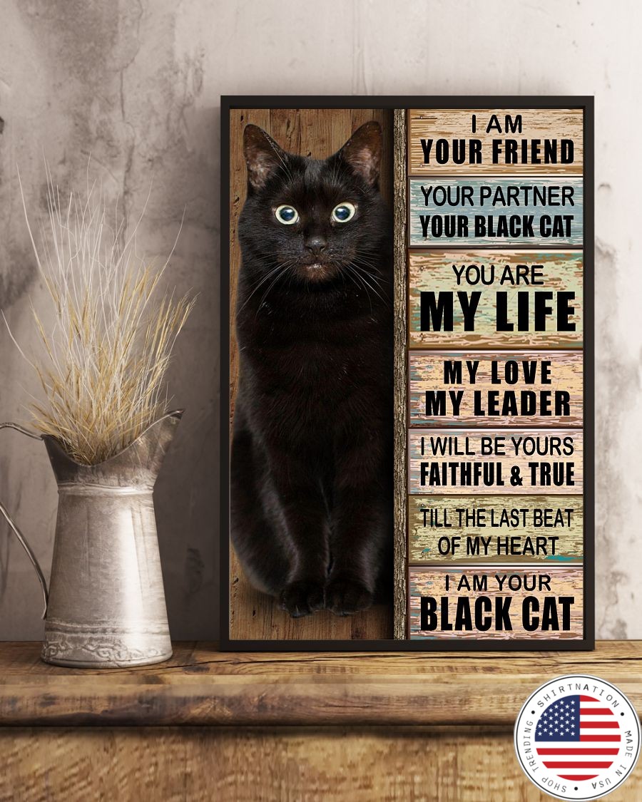 I am your friend your partner your black cat you are my life poster3