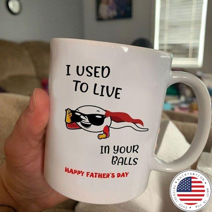 I used to live in your balls happy father's day mug