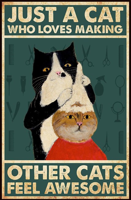 Just a cay who loves making other cats feel awesome poster