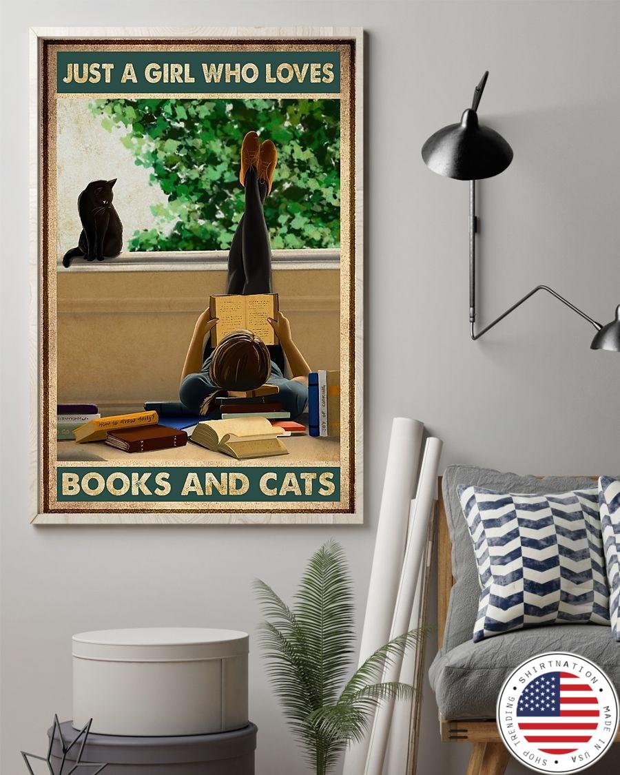 Just a girl who loves books and cats poster