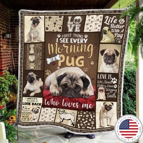 I see every morning is a pug blanket