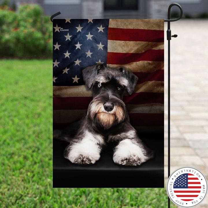Miniature schnauzer American flag