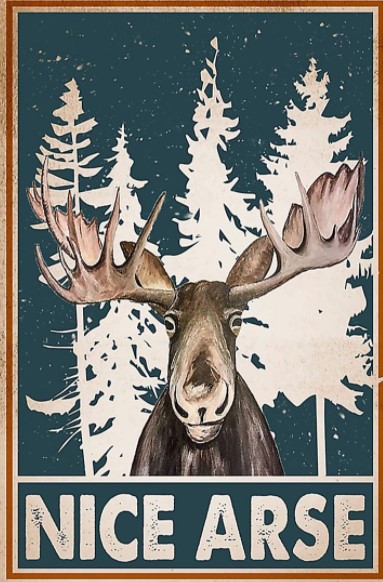 Moose nice arse poster