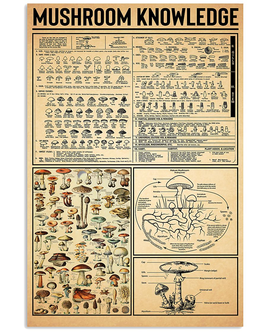 Mushroom knowledge poster