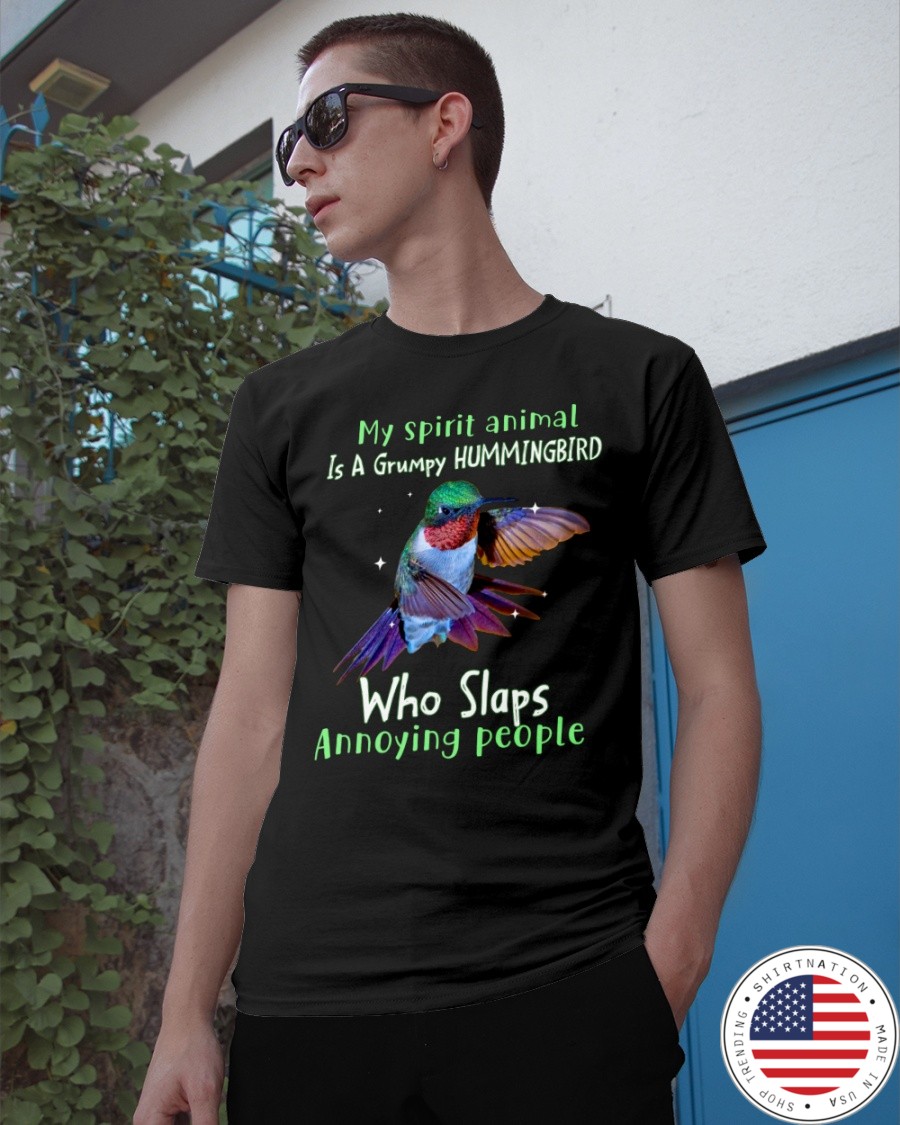 My Spirit Animal Is A Grumpy Hummingbird Who Slaps Annoying People Shirt2