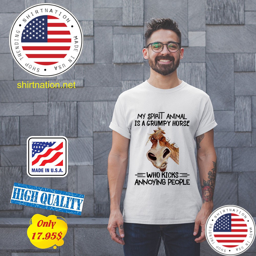 My spirit animal is a grumpy horse who kicks annoying people shirt 11