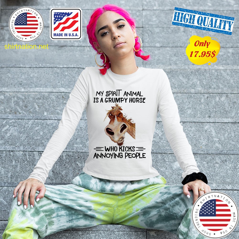 My spirit animal is a grumpy horse who kicks annoying people shirt 13