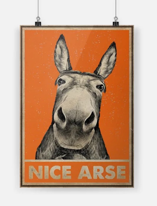 Donkey nice arse poster