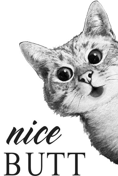 Nice butt Cat poster