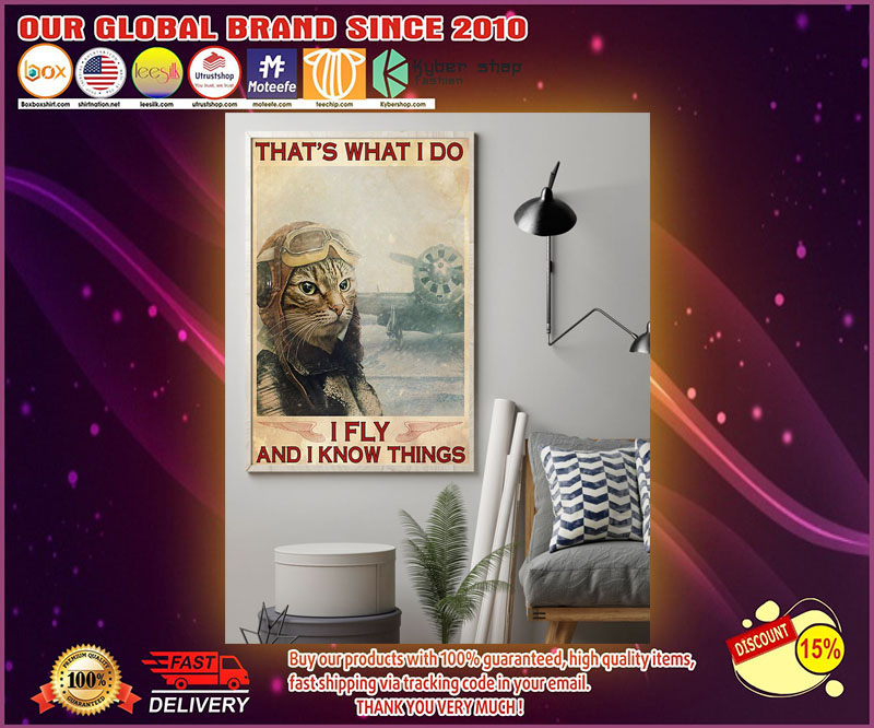 Pilot Cat that's I do I fly I know things poster