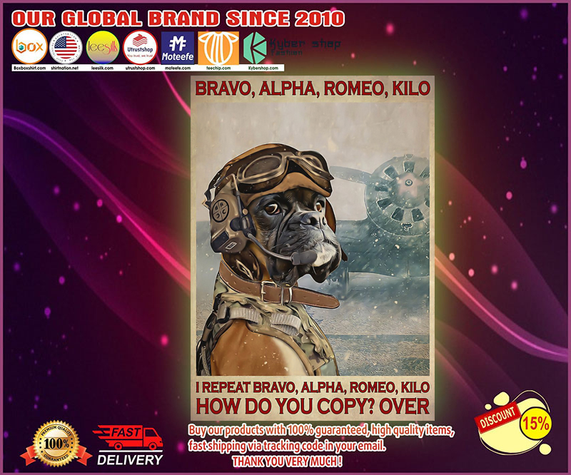 Pilot bravo alpha romeo kilo I repeat bravo alpha romeo kilo poster