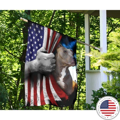 Pitbull dog US American flag