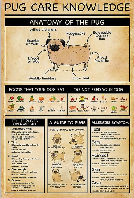 Pug knowledge poster