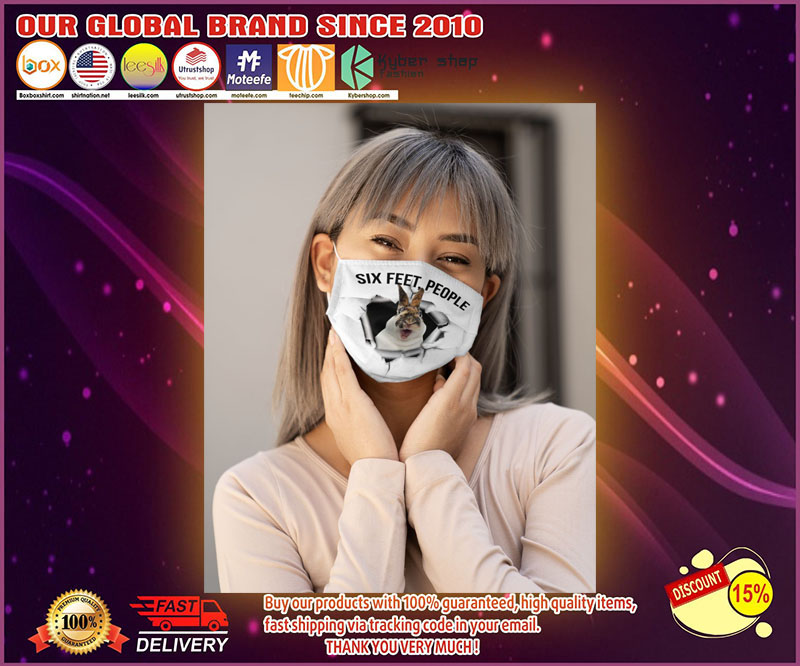 Rabbit six feet people face mask