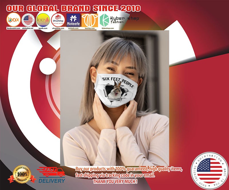 Rabbit six feet people face mask