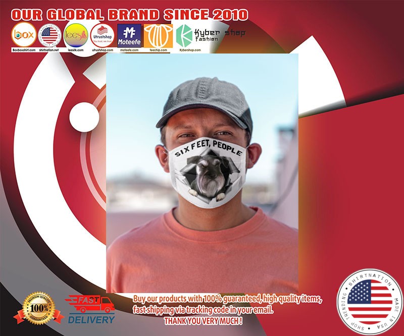 Schnauzer six feet face mask