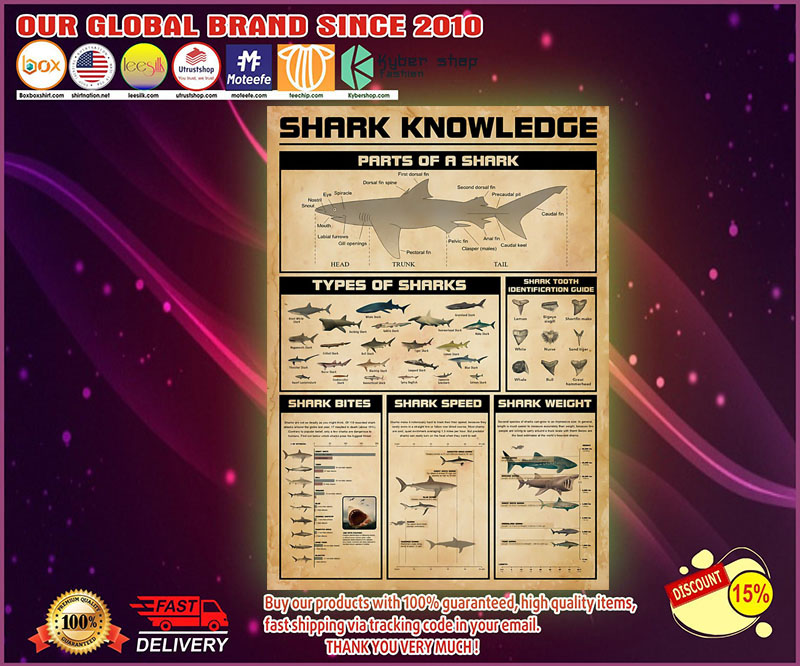 Shark knowledge poster