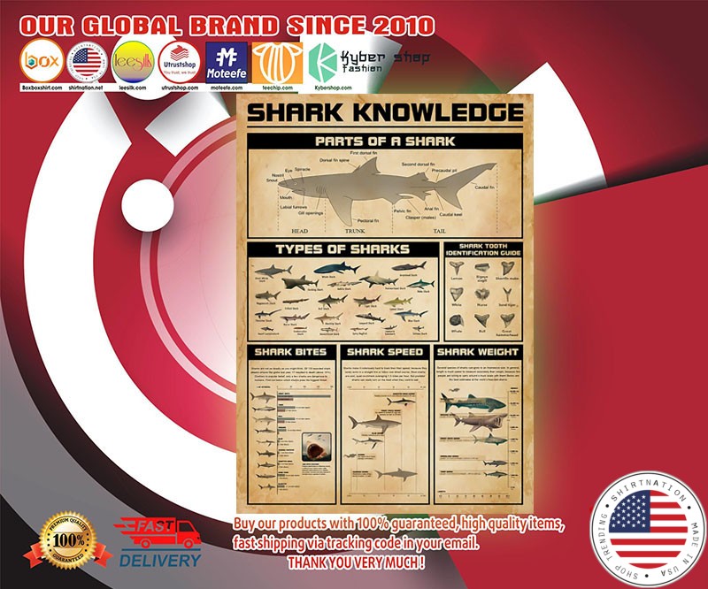 Shark knowledge poster