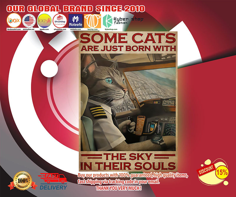 Some cats are just born with the sky in their souls poster