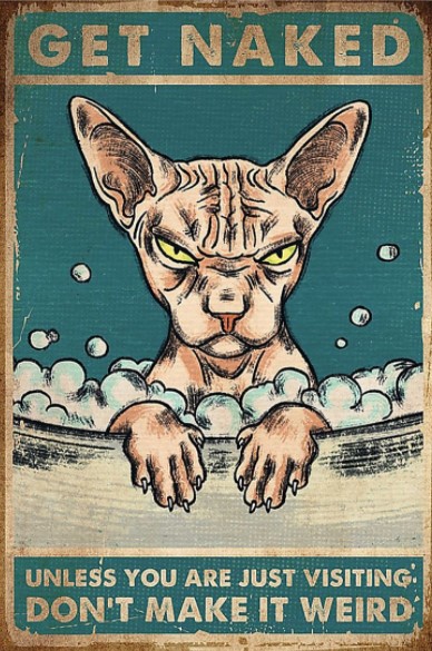 Sphynx cat get naked unless you are just visiting don't make it weird poster