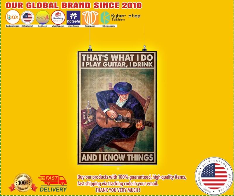 Thats what I do I play guitar I drink and I know things poster