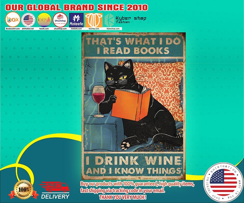 Cat that's what I do I know things I drink wine poster