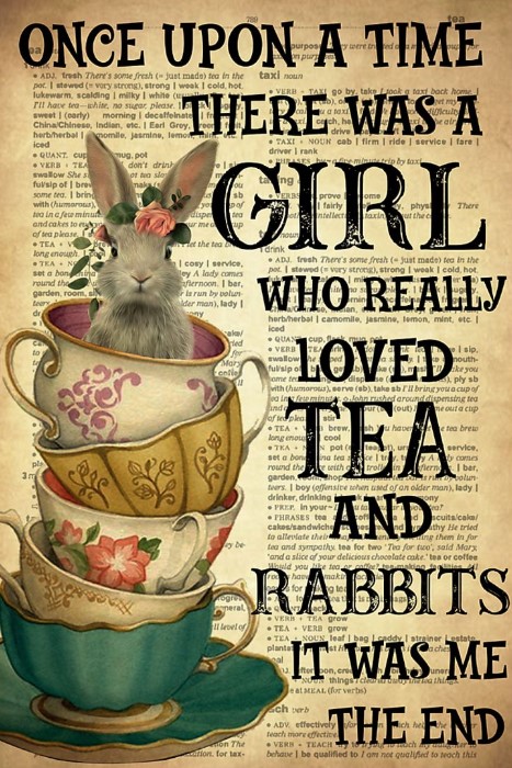 There was a girl who really loved tea and rabbits it was me poster