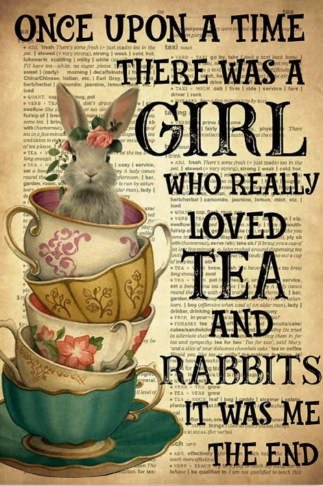 There was a girl who really loved tea and rabbits  poster