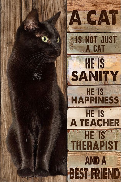 A cat is not just a cat he is sanity he is happiness poster