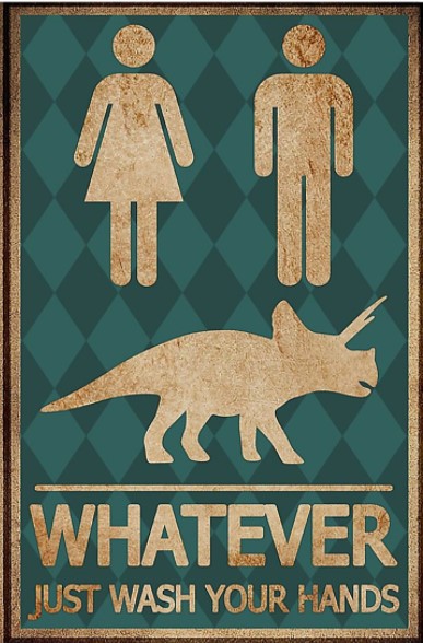 Whatever just wash your hands poster