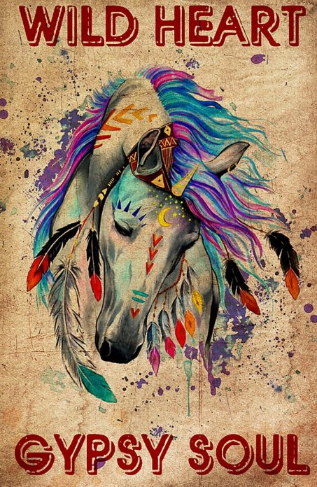 Wlid heart gypsy soul poster