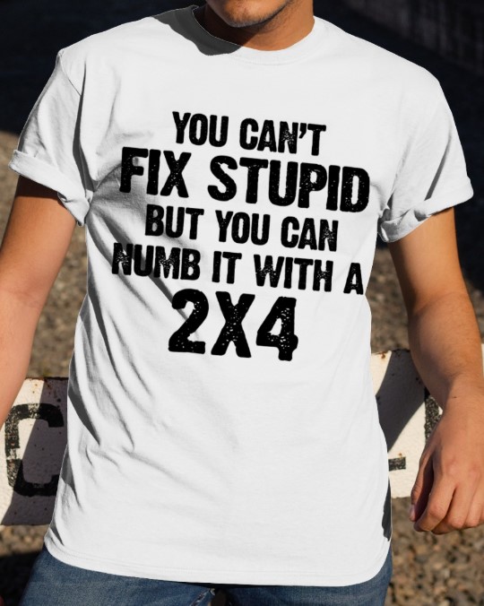 You can't fix stupid but you can numb it with a 2x4 shirt