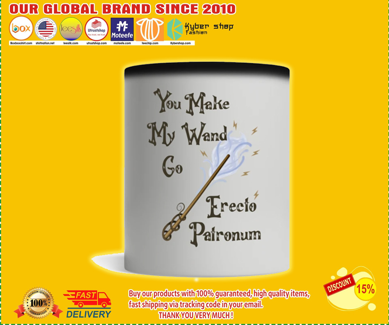 You make my wand go erecto patronum mug