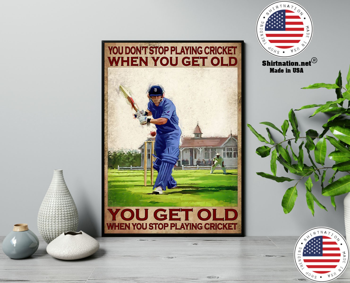 You dont stop playing cricket when you get old poster 13