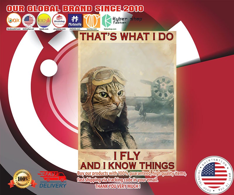 Cat that's what I do I fly and I know things poster