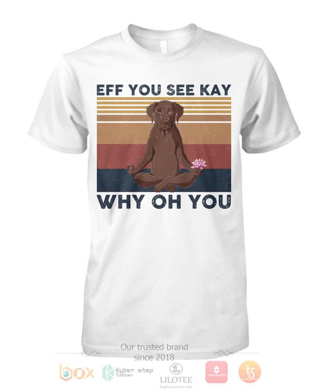 Labrado Yoga Eff You See Kay Why Oh You 3D Hoodie Shirt 1 2