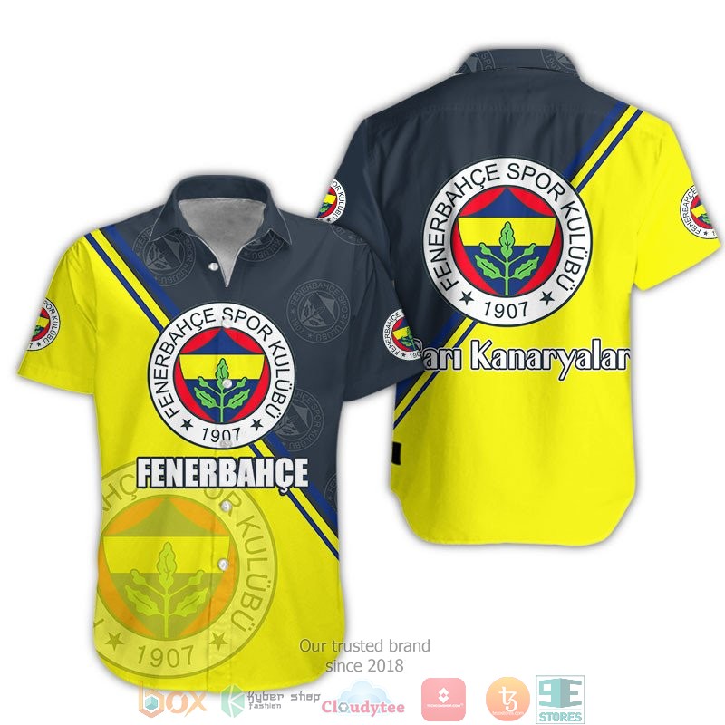 Fenerbahce 1907 3d shirt hoodie 1 2 3 4 5 6 7 8 9 10 11 12 13 14 15 16 17 18 19