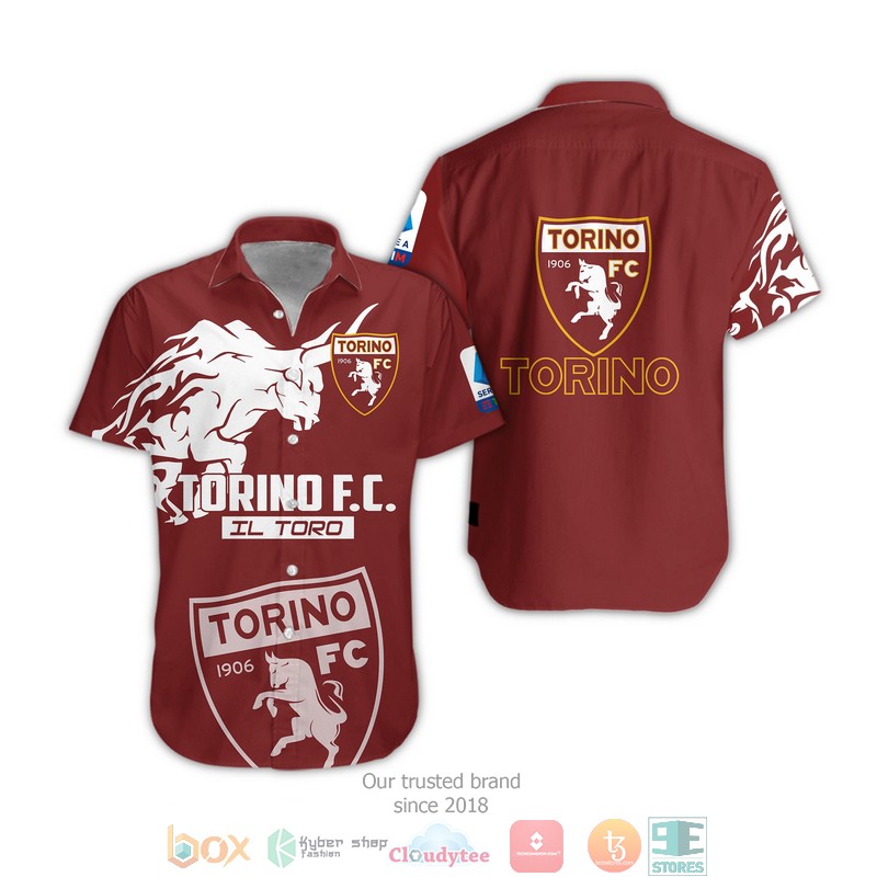 Torino FC 1906 3d shirt hoodie 1 2 3 4 5 6 7 8 9 10 11 12 13 14 15 16